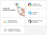 Control profesional con protección IP66 para tiras LED RGBW que incopora múltiples funciones de sincronización con otros controladores y con una potencia de hasta 12A. Un nuevo concepto de controladores profesionales para el control de cualquier tipo de tiras o luminarias led RGBW.