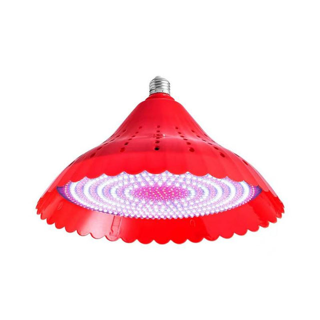 Pack 2 de Bombillas Led E27 de luz rosada que potencia el color de las carnes y frutas, especialmente indicada para todas las instalaciones que iluminan alimentos cárnicos. Su sutil brillo rojizo hará que la carne parezca más fresca y tentadora.