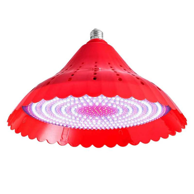 Pack 2 de Bombillas Led E27 de luz rosada que potencia el color de las carnes y frutas, especialmente indicada para todas las instalaciones que iluminan alimentos cárnicos. Su sutil brillo rojizo hará que la carne parezca más fresca y tentadora.