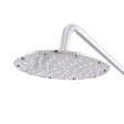 Cabeza de Ducha Acero Inoxidable/ABS [QLI-FA-H01]