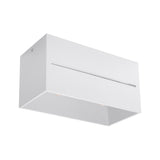 Aplique de techo LOBO 2 blanco, G9