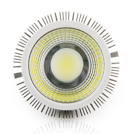 Lámpara de LEDs COB PAR 30 E27 10W 900Lm 30,000H