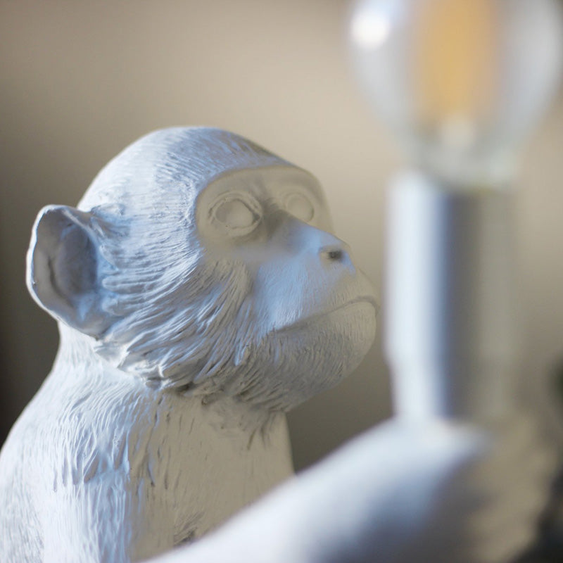 La lámpara Monkey es una creación única con un equilibrio perfecto entre el arte y el objeto funcional, con una idea siempre centrada en la relación entre el ser humano y el mundo natural. Realizado en resina para mostrar todos los detalles con la máxima precisión, casquillo E27 y cable de 180cm.