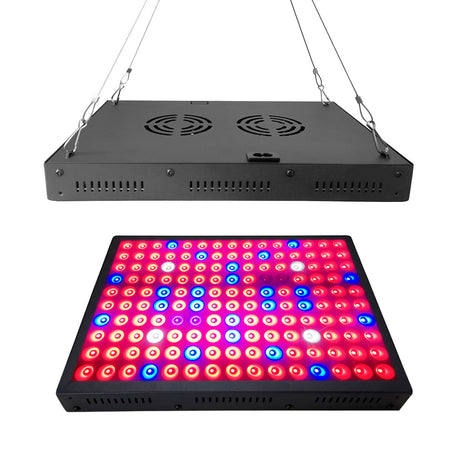 Pantalla especialmente diseñada para estimular el crecimiento de las plantas combinando los espectros lumínicos ideales para su desarrollo. No emiten calor y la planta no sufre quemaduras ni se deshidratan. Incluye 150 chip led con un espectro completo de color de luz roja, azul, UV, IR y luz blanca para todas las fases de crecimiento y floración de las plantas.