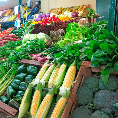 Tubo led de luz blanca nítida que acentúa el frescor de las frutas y verduras. Sustituyen a los actuales tubos fluorescentes ahorrando más del 50% de energía. Los tubos LED ofrecen una mejor calidad de luz (más brillante), no tiene parpadeos ni radiaciones ultravioleta y su encendido es inmediato. Son de fácil sustitución, no requieren mantenimiento y aseguran una alta durabilidad.