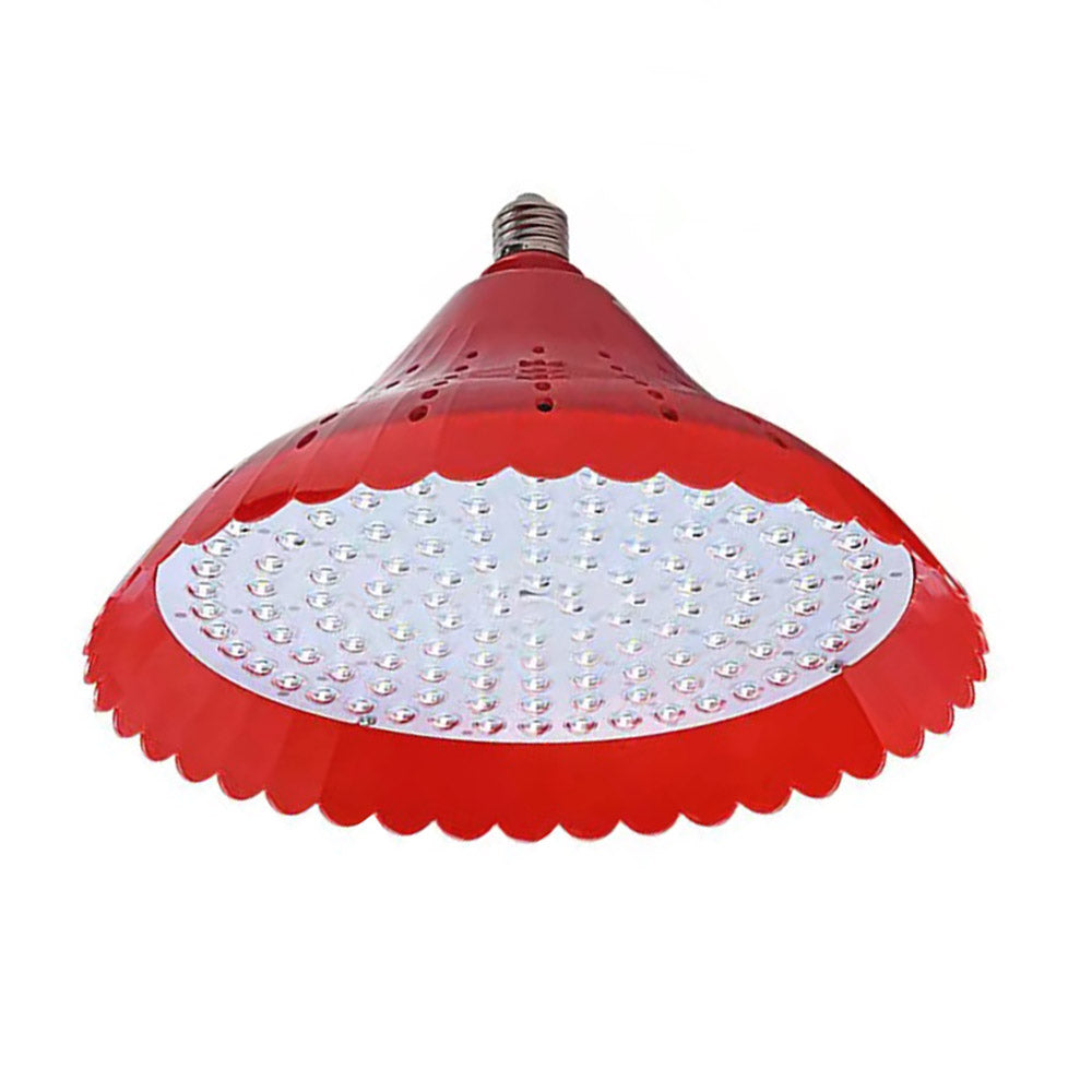 Pack 2 de Bombillas Led E27 de luz rosada que potencia el color de las carnes y frutas, especialmente indicada para todas las instalaciones que iluminan alimentos cárnicos. Su sutil brillo rojizo hará que la carne parezca más fresca y tentadora.