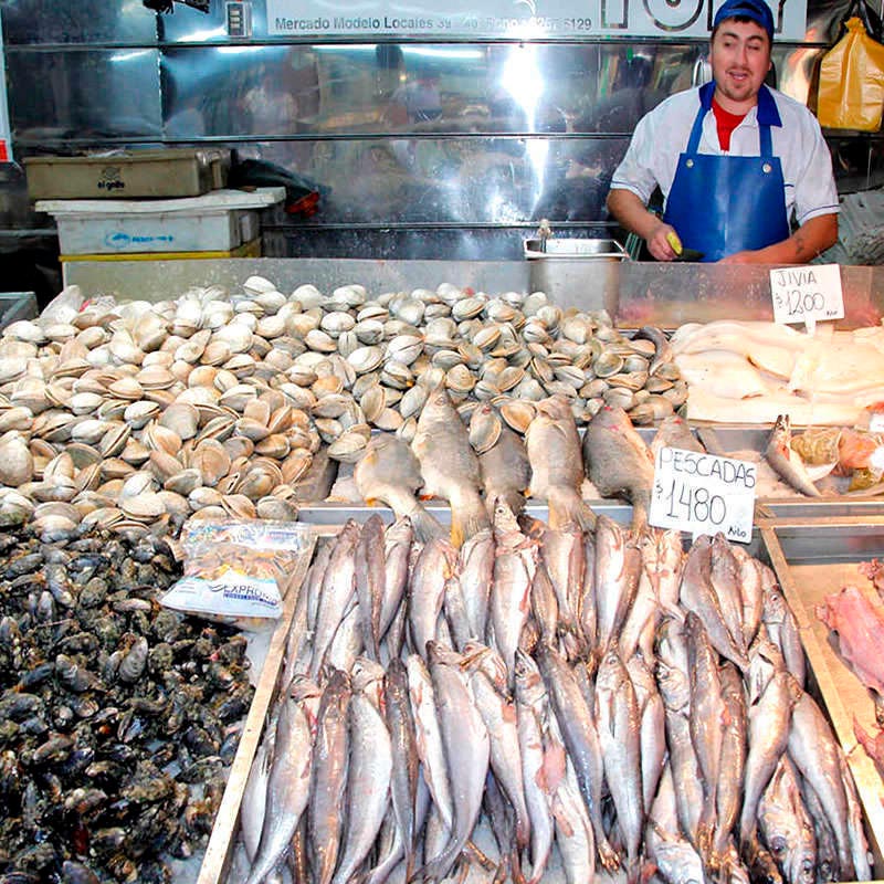 En los expositores de pescadería, la luz blanca fría reflejada en el hielo picado crea una sugerente sensación de "recién pescado". Sustituyen a los actuales tubos fluorescentes ahorrando más del 50% de energía. Los tubos LED ofrecen una mejor calidad de luz (más brillante), no tiene parpadeos ni radiaciones ultravioleta y su encendido es inmediato. Son de fácil sustitución, no requieren mantenimiento y aseguran una alta durabilidad.