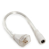 Cable Conexión DC-Hembra para Barra LED Magnética Especial Carnicerías 200mm