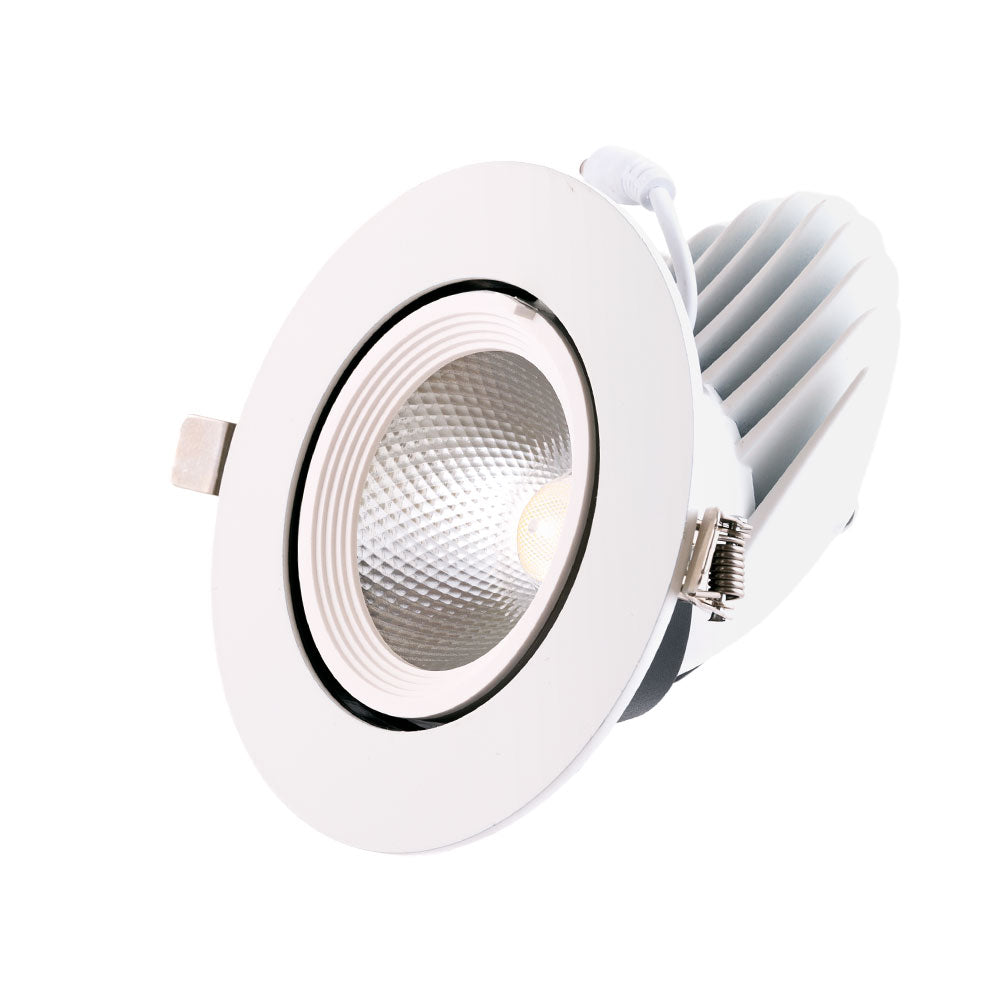 Foco Downlight LED 24W 2400Lm 4000ºK Circular Orientable 30.000H [HO-COB-C-OR-24W-W]