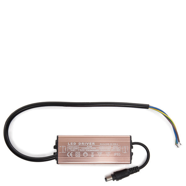 Driver No Dimable 0.95 F.P. 50.000H para Paneles de LEDs 42W